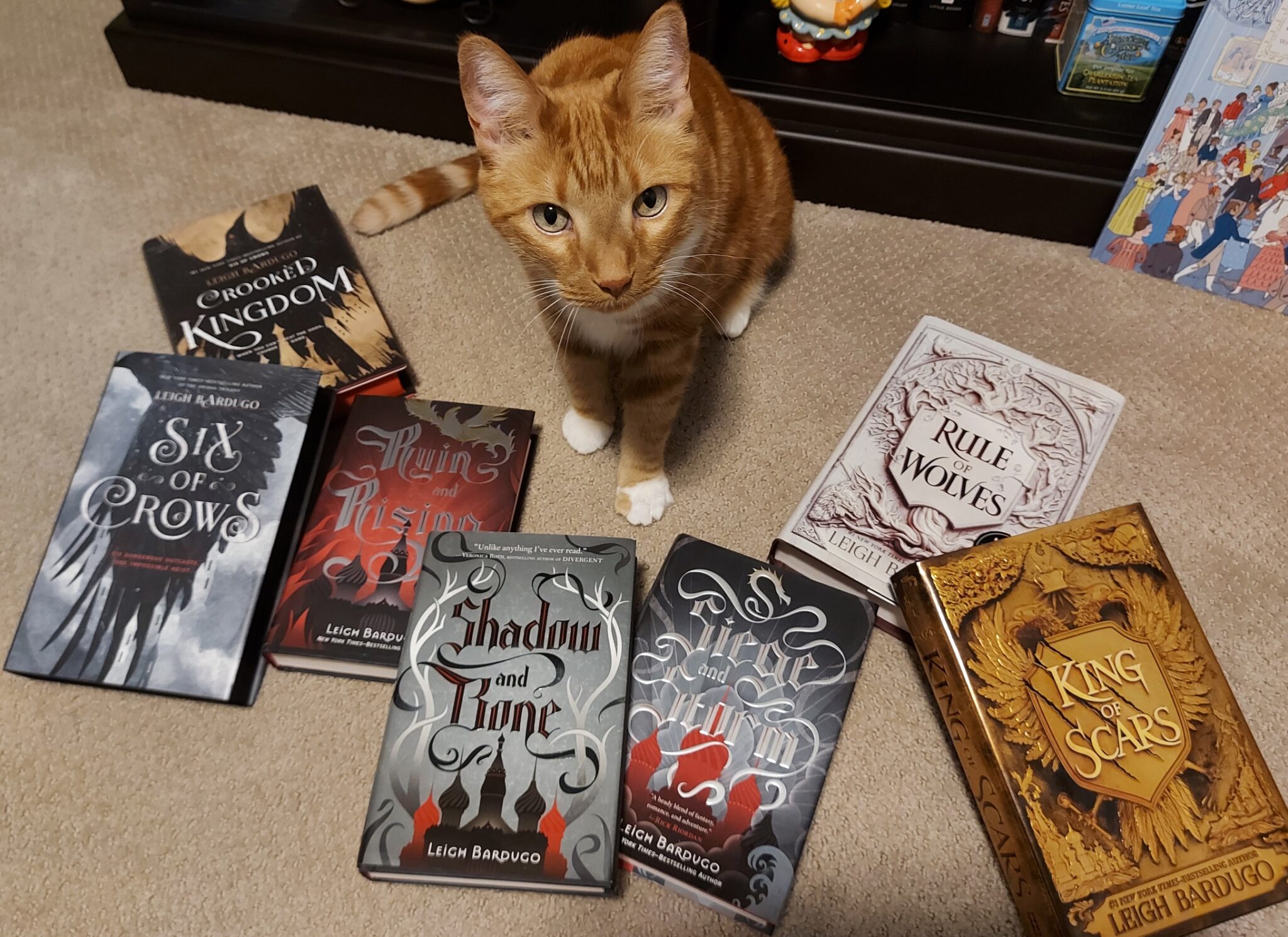 Rule of Wolves (and the Grishaverse novels) by Leigh Bardugo Bibliokitty