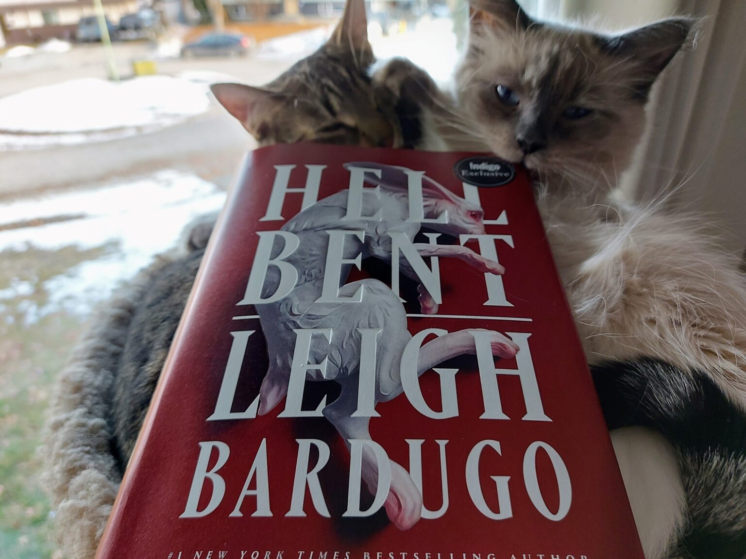 leigh bardugo hell bent release date